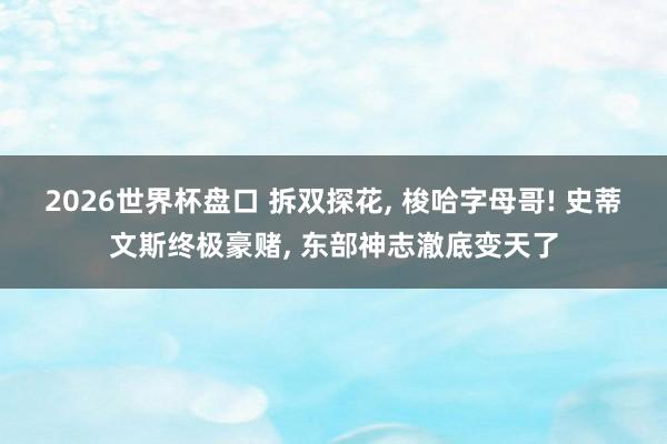 2026世界杯盘口 拆双探花, 梭哈字母哥! 史蒂文斯终极豪赌, 东部神志澈底变天了