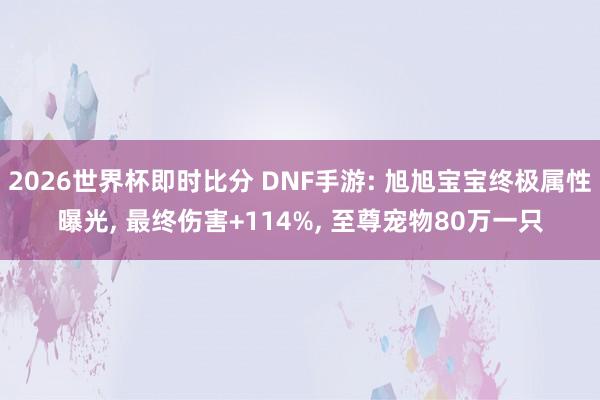 2026世界杯即时比分 DNF手游: 旭旭宝宝终极属性曝光, 最终伤害+114%, 至尊宠物80万一只