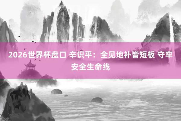 2026世界杯盘口 辛识平：全见地补皆短板 守牢安全生命线