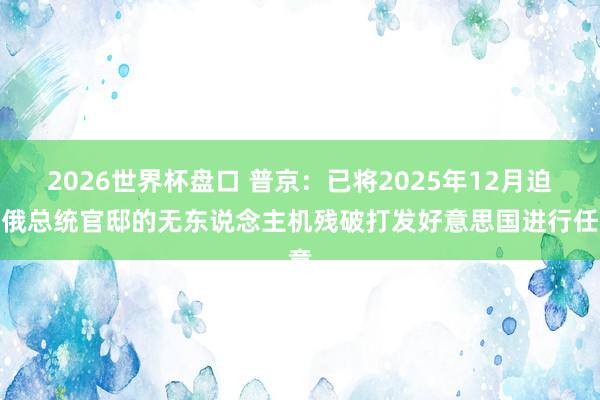 2026世界杯盘口 普京:已将2025年12月迫切俄总统官邸的无东说念主机残破打发好意思国进行任意
