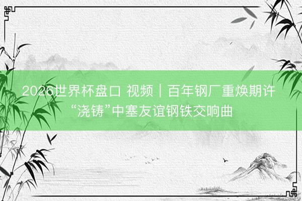 2026世界杯盘口 视频|百年钢厂重焕期许 “浇铸”中塞友谊钢铁交响曲
