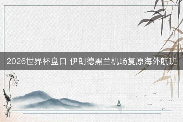 2026世界杯盘口 伊朗德黑兰机场复原海外航班