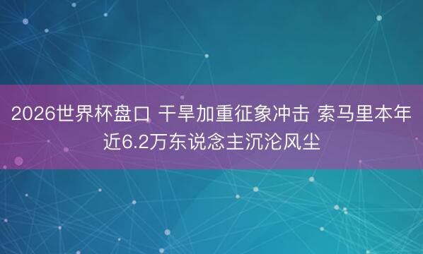 2026世界杯盘口 干旱加重征象冲击 索马里本年近6.2万东说念主沉沦风尘