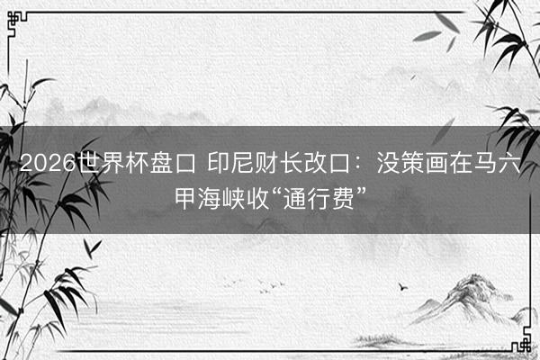 2026世界杯盘口 印尼财长改口:没策画在马六甲海峡收“通行费”